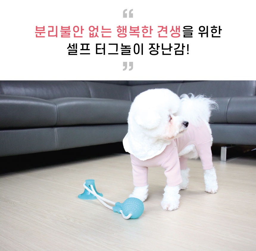 리스펫 강아지 셀프 터그놀이 장난감 그린-상품이미지-3