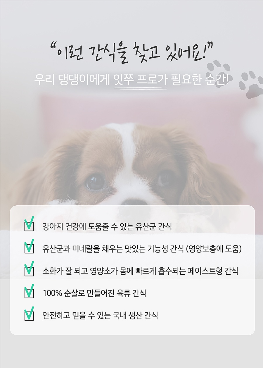 it 잇쭈 프로 도그 구강 (8개입)-상품이미지-0