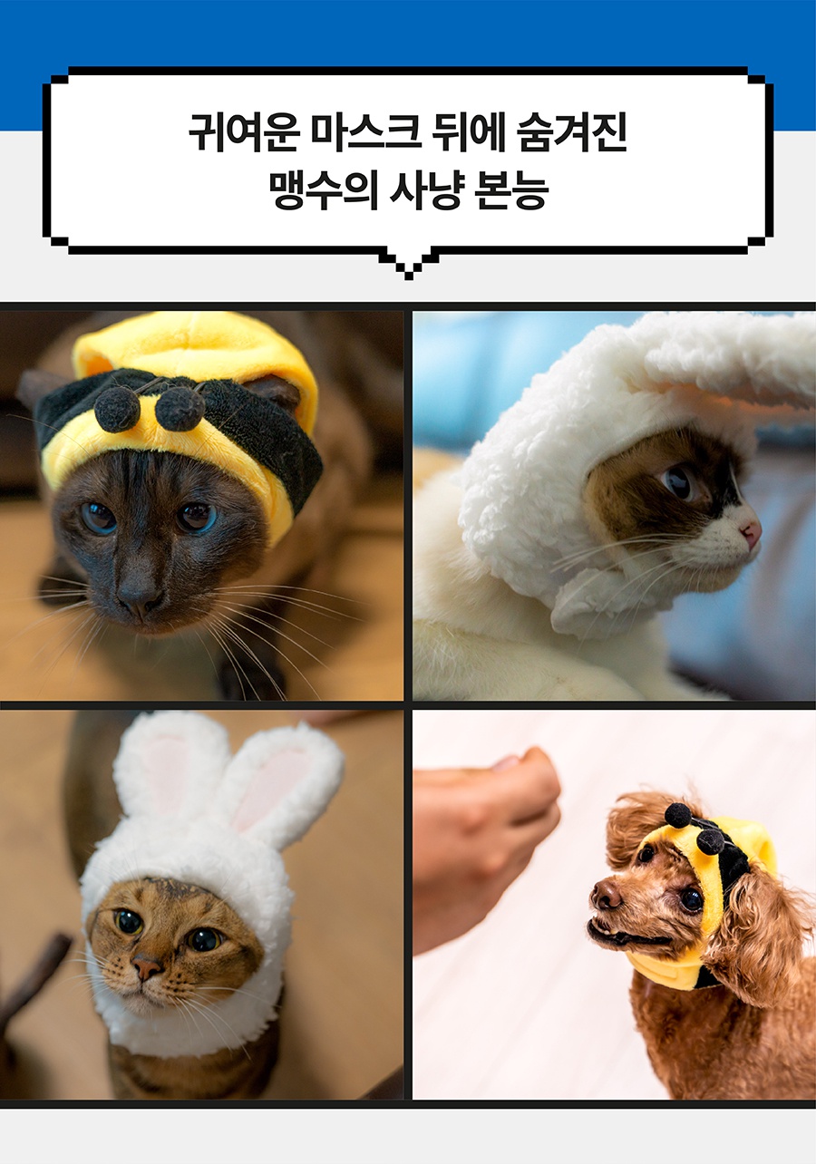 헌팅마켓 큐티업 코스튬 모자 (토끼/꿀벌)-상품이미지-3
